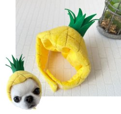 画像1: 【被り物】パイナップル