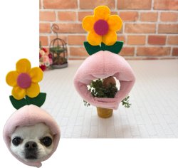 画像1: 🌼お花の被り物🌼