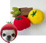 🍅トマトの被り物🍅