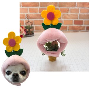 画像: 🌼お花の被り物🌼
