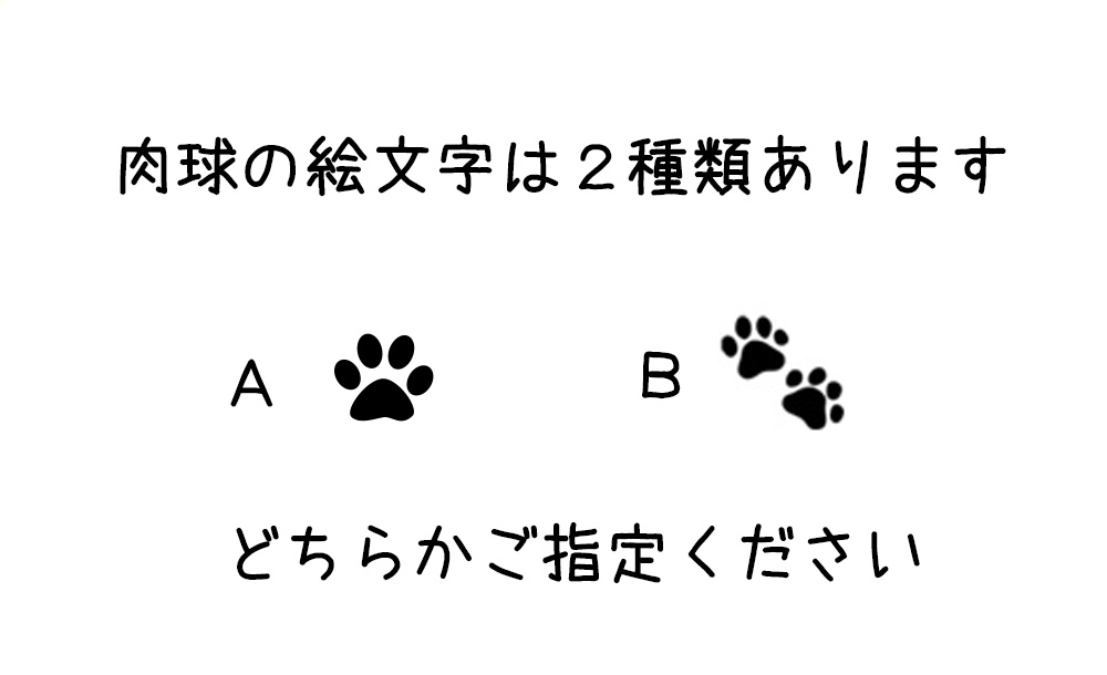 画像: ワンちゃんの体操着